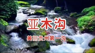 尔滨姑娘捡到游客手机暖心归还