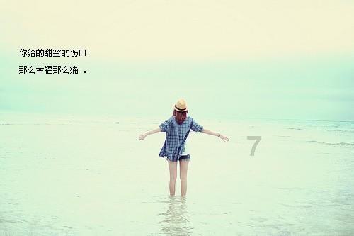 冲浪骑士